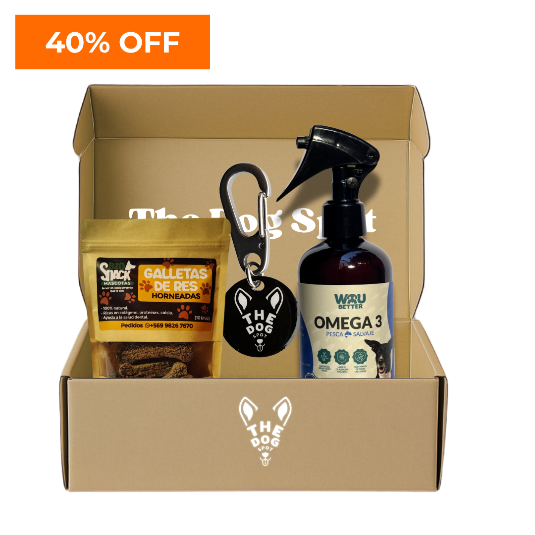 Kit The Dog Spot – Todo lo que tu perro necesita en un solo pack