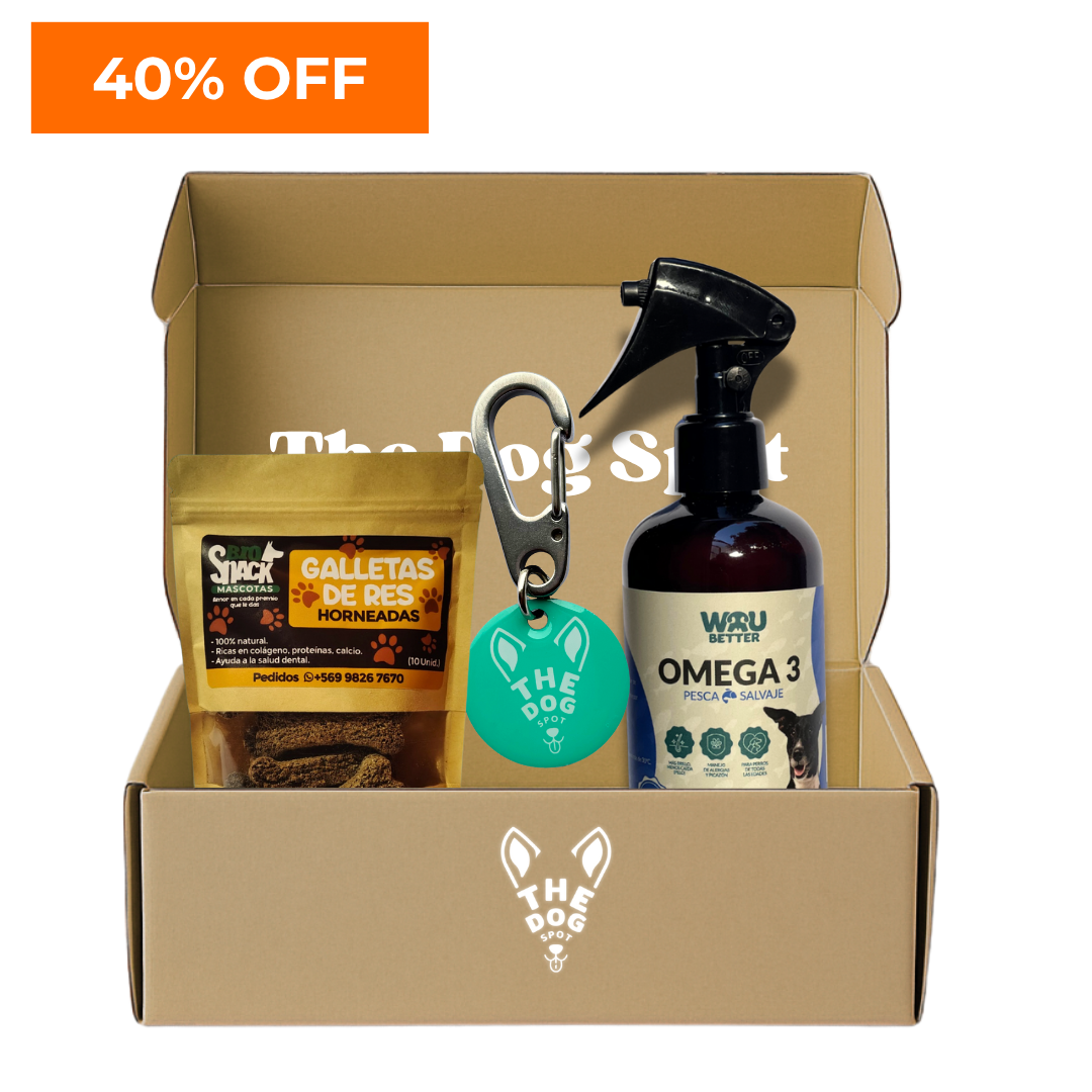 Kit The Dog Spot – Todo lo que tu perro necesita en un solo pack