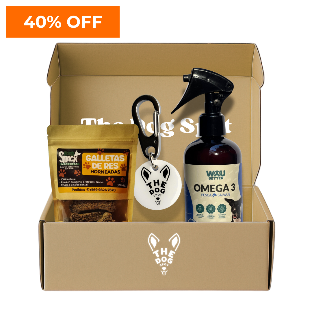 Kit The Dog Spot – Todo lo que tu perro necesita en un solo pack
