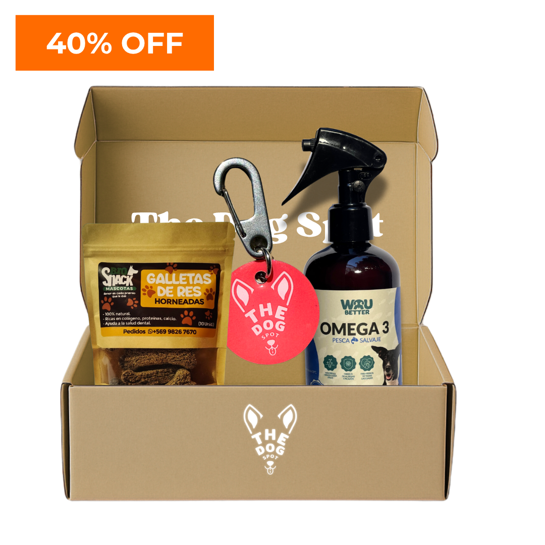 Kit The Dog Spot – Todo lo que tu perro necesita en un solo pack